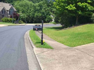 Francisco R.'s Lawn Maintenance service result