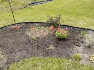 Weeding by Andrew Lippincott for Romena G. in Blaine, MN