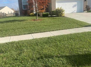 Bish S.'s Lawn Maintenance service result