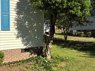 Bush Trimming by Amanda Carter for Marcel D. in Clayton, NC