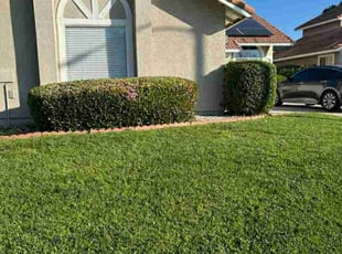 Bush Trimming by Edward Walsh for Torea B. in Moreno Valley, CA