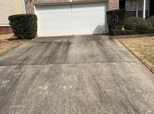 Bush Trimming by Mark King for shantelle S. in Loganville, GA