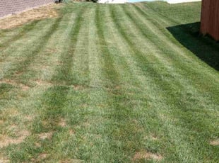 RAVON G.'s Lawn Mowing service result