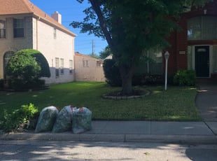 Bush Trimming by Haley Hougen for Tara G. in Dallas, TX