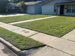 Emsy C.'s Lawn Care service result