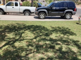 Leaf Removal by Gideon Cook for donald g. in Phoenix, AZ