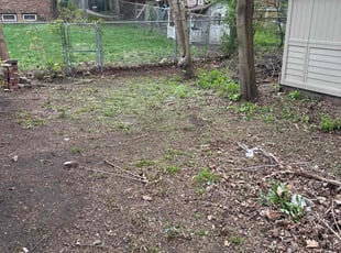 Leaf Removal by Mike Brooks for Judith S. in Blue Island, IL