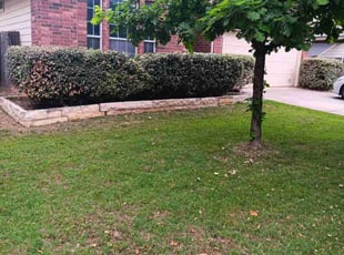 Bush Trimming by Kyle Smith for Amanda G. in San Antonio, TX