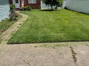 Dave M.'s Lawn Service service result