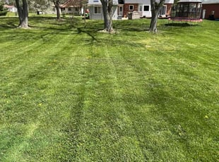 Tom B.'s Lawn Service service result