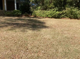 Leaf Removal by Travis Frederickson for Larry W. in Pensacola, FL