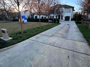 Leaf Removal by Adrian Gallardo for Tammy F. in Dallas, TX
