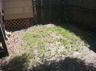 Landscaping by Raymone Wimpye El for Carlene R. in Tampa, FL