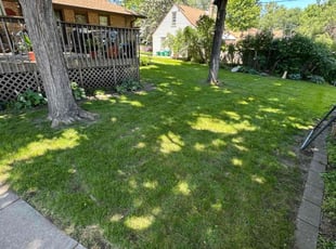Cleanups by Ben Matthews for Paul F. in Minneapolis, MN