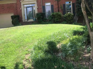 Bush Trimming by Gregory Crayton for Michelle K. in Matthews, NC