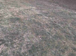 Leaf Removal by Joseph Murdock for Katherine M. in Tulsa, OK