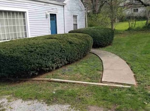 Bush Trimming by Jaden Benn for Susana A. in La Grange, KY