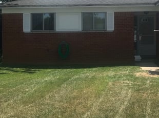 Cleanups by Ross Phina for Michael F. in Sterling Heights, MI