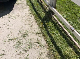 Prabhu R.'s Grass Cutting service result