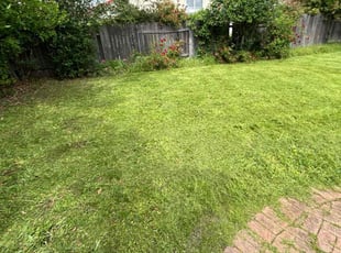 Cleanups by Gabriel Aldrete for Pavle, P. in Sacramento, CA