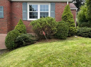 Cleanups by Sam Owori for Andrea S. in Pittsburgh, PA