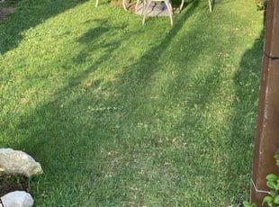 Alphonso (AJ) H.'s Lawn Maintenance service result