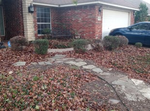 Bush Trimming by Gralin Johnson for Mary P. in Crowley, TX