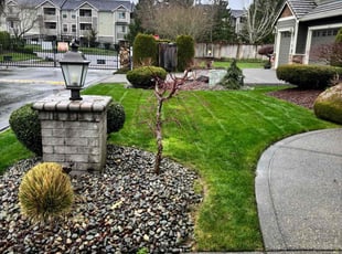 Bush Trimming by Courtney Roberts for Kevin G. in Puyallup, WA