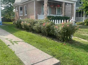 Bush Trimming by James Abernathy for Stephanie B. in Cincinnati, OH