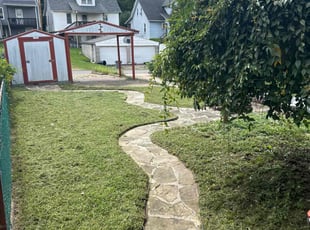 Dandi D.'s Lawn Service service result