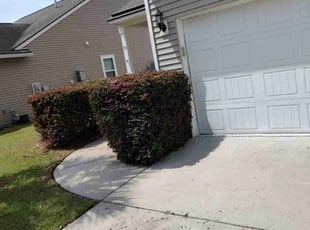 Bush Trimming by Bob Dasher for Wilson O. in Beaufort, SC
