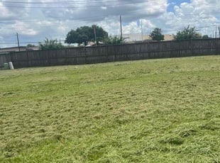 Correy E.'s Lawn Service service result
