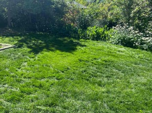 Jordan D.'s Lawn Care service result