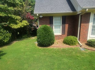 Bush Trimming by Coltin Ray for Tina W. in Pinson, AL