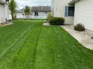 Kristin W.'s Lawn Mowing service result