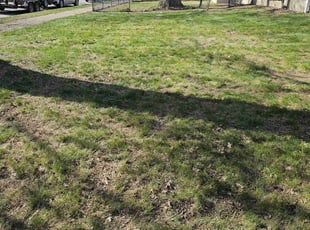Cleanups by Leroy Green II for Darice S. in Westerville, OH