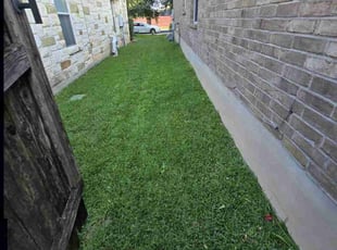 Malerie s.'s Lawn Care service result