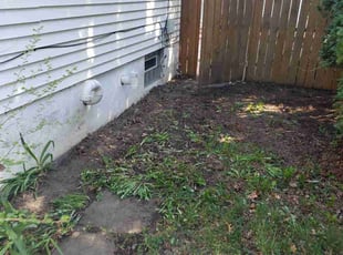 Cleanups by Anthony Grant for Grace O. in Saint Paul, MN