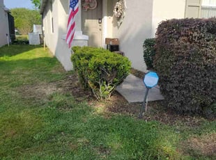 Bush Trimming by Carlos Martinez for Debbie B. in Davenport, FL