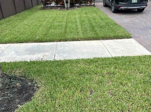 Tony A.'s Lawn Care service result