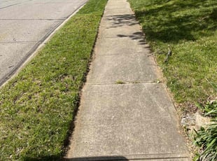 Michelle p.'s Lawn Maintenance service result