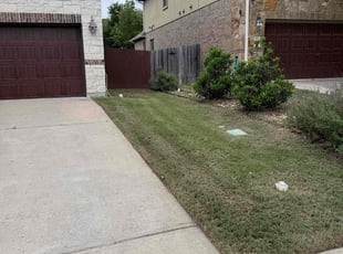 Leaf Removal by Isabel LΓ³pez for April Dawn K. in Leander, TX