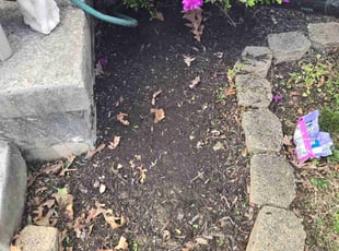 Weeding by Billy Stone Jr for Theresa Z. in Rosedale, MD