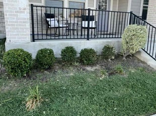 Bush Trimming by Franklin Garcia for Damien A. in Austin, TX