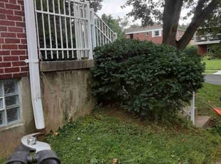 Bush Trimming by Caleb Patton for Jared T. in Cincinnati, OH
