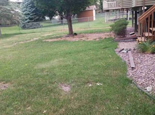 Bush Trimming by Nick Onsted for Akpene A. in Vadnais Heights, MN