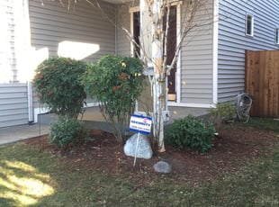 Bush Trimming by David Ashworth for Valerie H. in Spanaway, WA