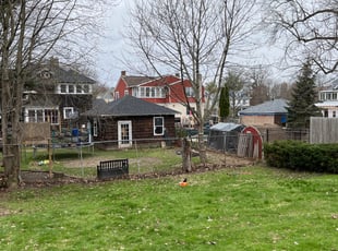 Leaf Removal by David Bowen for Tom H. in Syracuse, NY