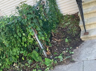Cleanups by Andrew Perch for Carson Group L. in Worcester, MA