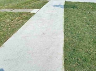 Susan S.'s Grass Cutting service result